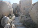 PICTURES/Desert View Tower - Jacumba, CA/t_Stairs guarded by snake & lizard.jpg